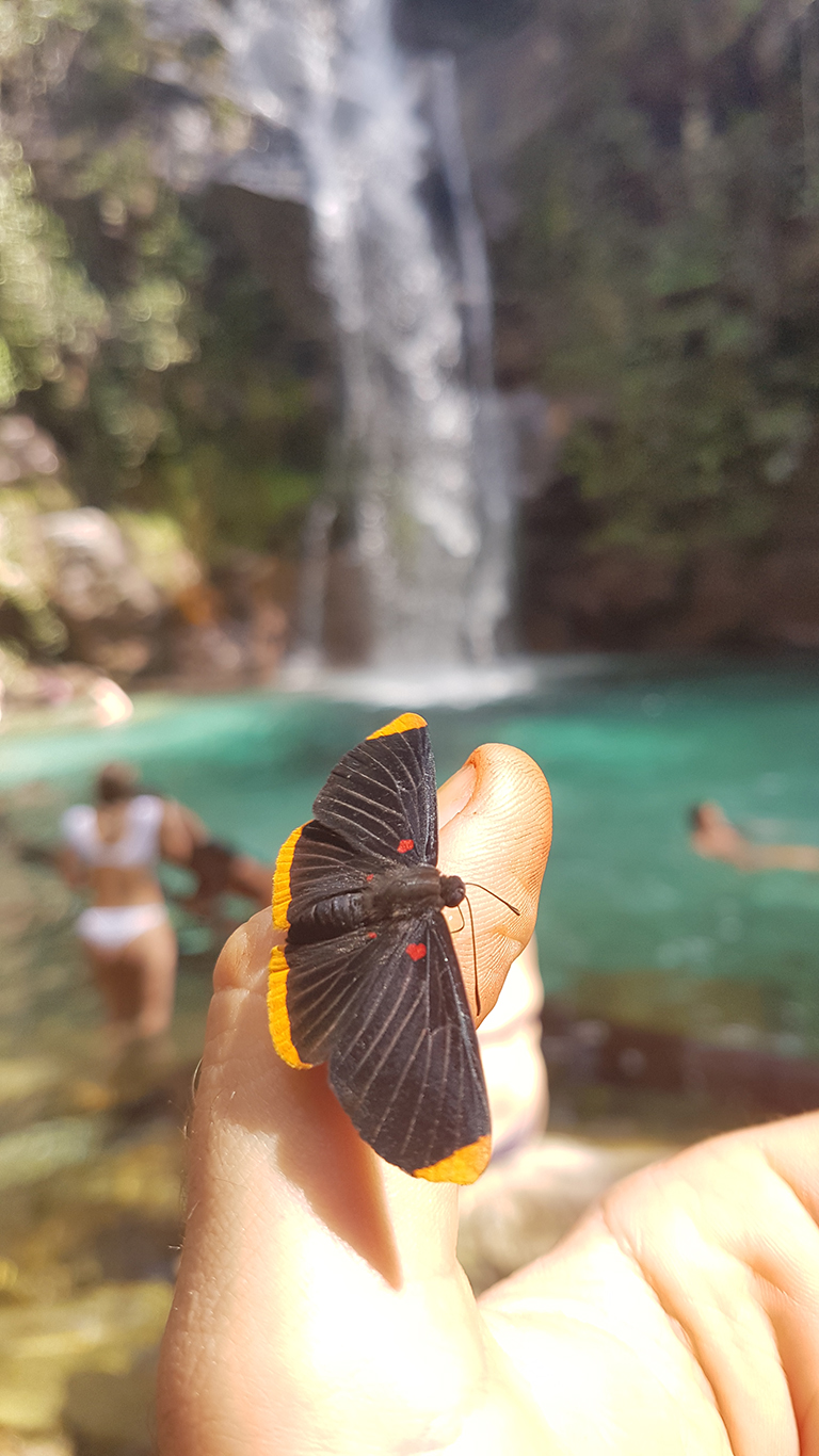 Borboleta na mão de turista com a cachoeira Santa Bárbara ao fundo