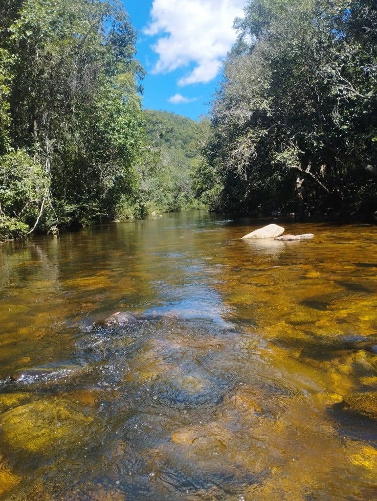 Rio da Caldeira, de água dourada, na Chapada dos Veadeiros